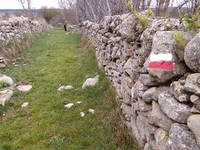 Camino Mas del Prado