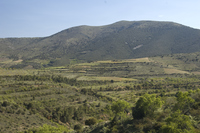 Sierra Modorra y Pico de Codos