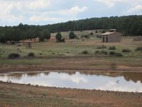 Balsa El Pinar, Rubiales