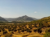 Monte Tolocha