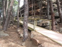 Pasarela de acceso al abrigo rupestre